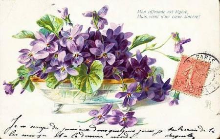 Toi mon meilleur ami